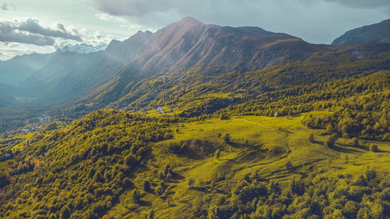 Hisa Natasa Villa Dreznica Bagian luar foto