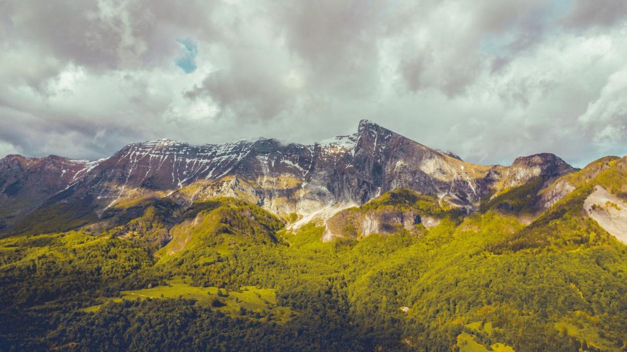 Hisa Natasa Villa Dreznica Bagian luar foto